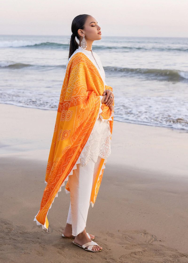 Zainab Chottani Chickankari Luxury Lawn | White | Unstitched | Party wear | Embroidered Digital Printed Dupatta on Chiffon | CHUNARI - 3B - Image 4