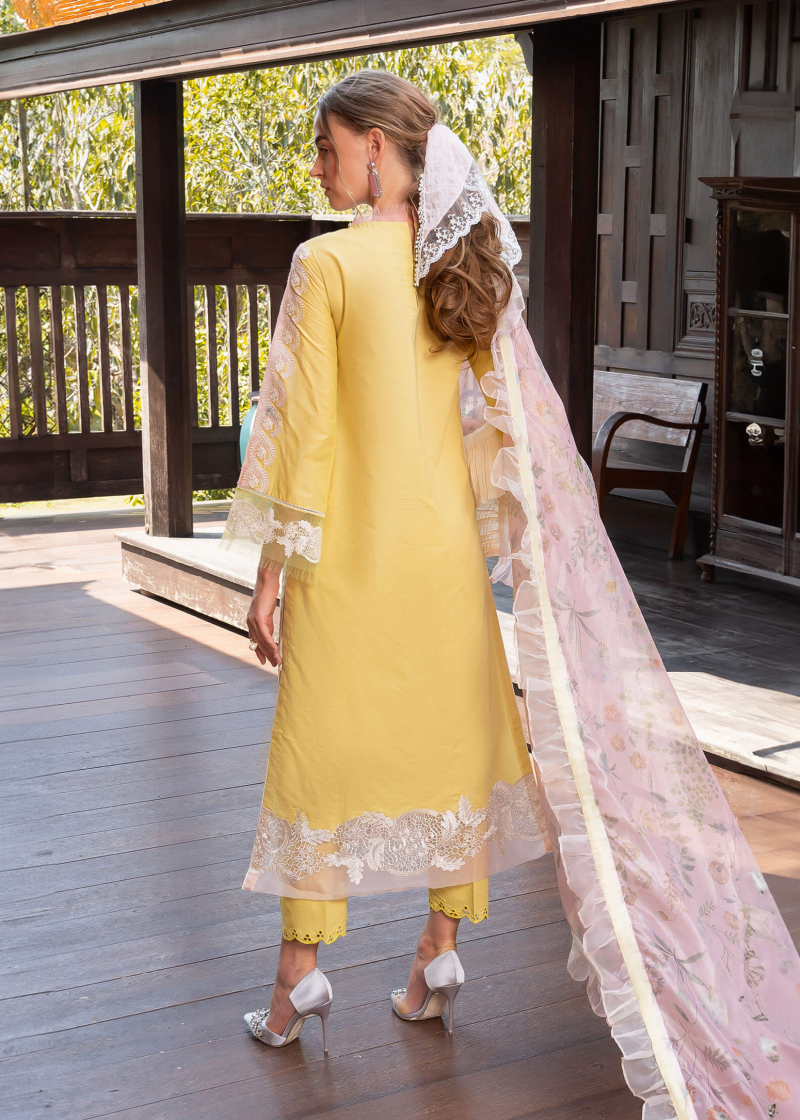Asifa & Nabeel Lawn | Yellow | Unstitched | Party wear | Digital printed dupatta on polly silk | ESSENCE RRL-08 - Image 2